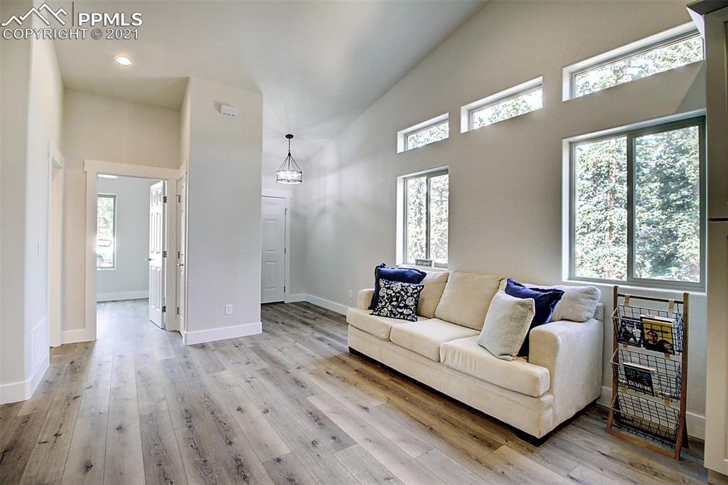 196 Shannon Place Divide, CO 80814 - Photo 5 of 25 a living room with furniture and a large window