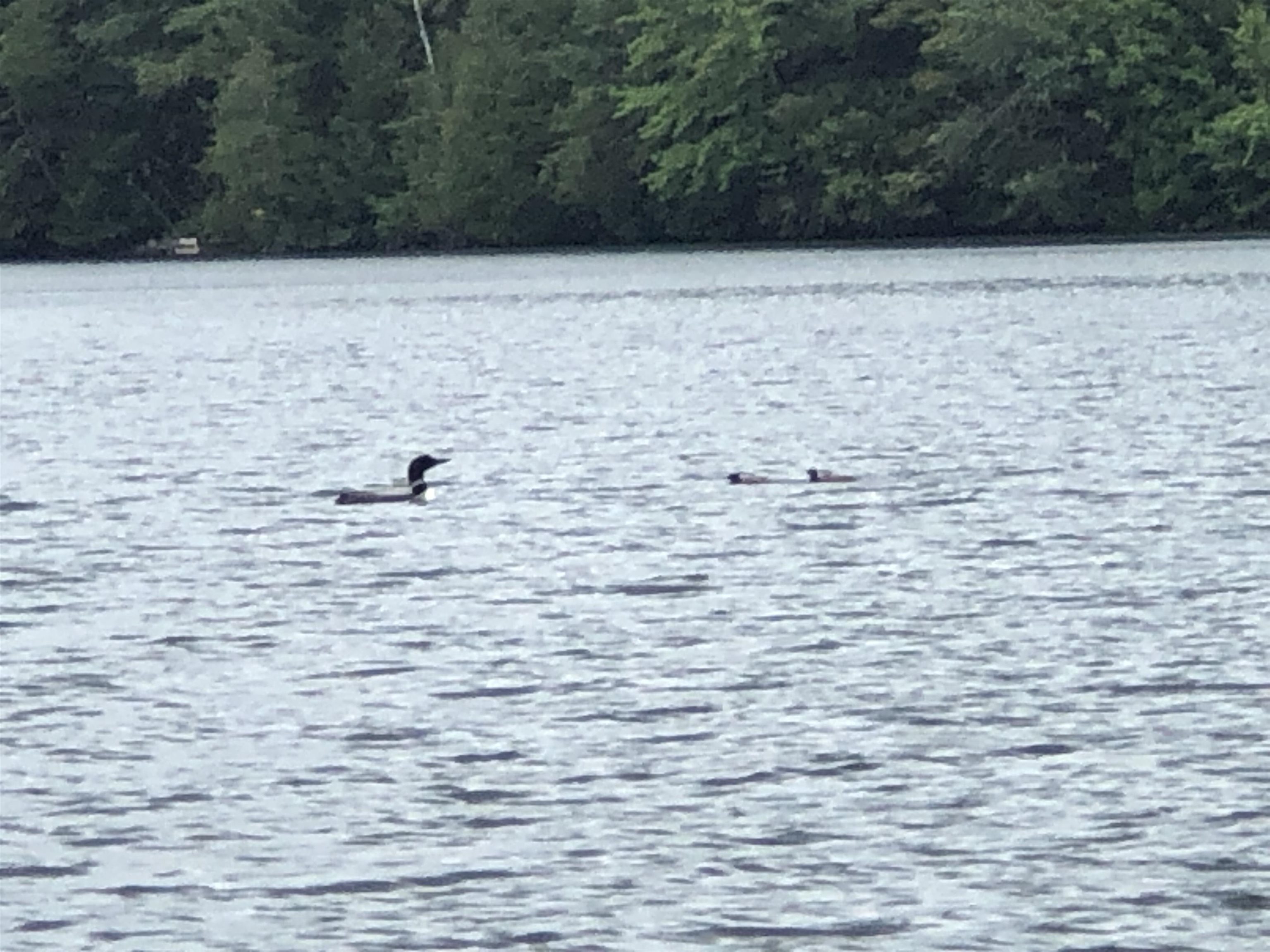 116 Shoreline Drive Barnet, VT 05821 - Photo 11 of 30