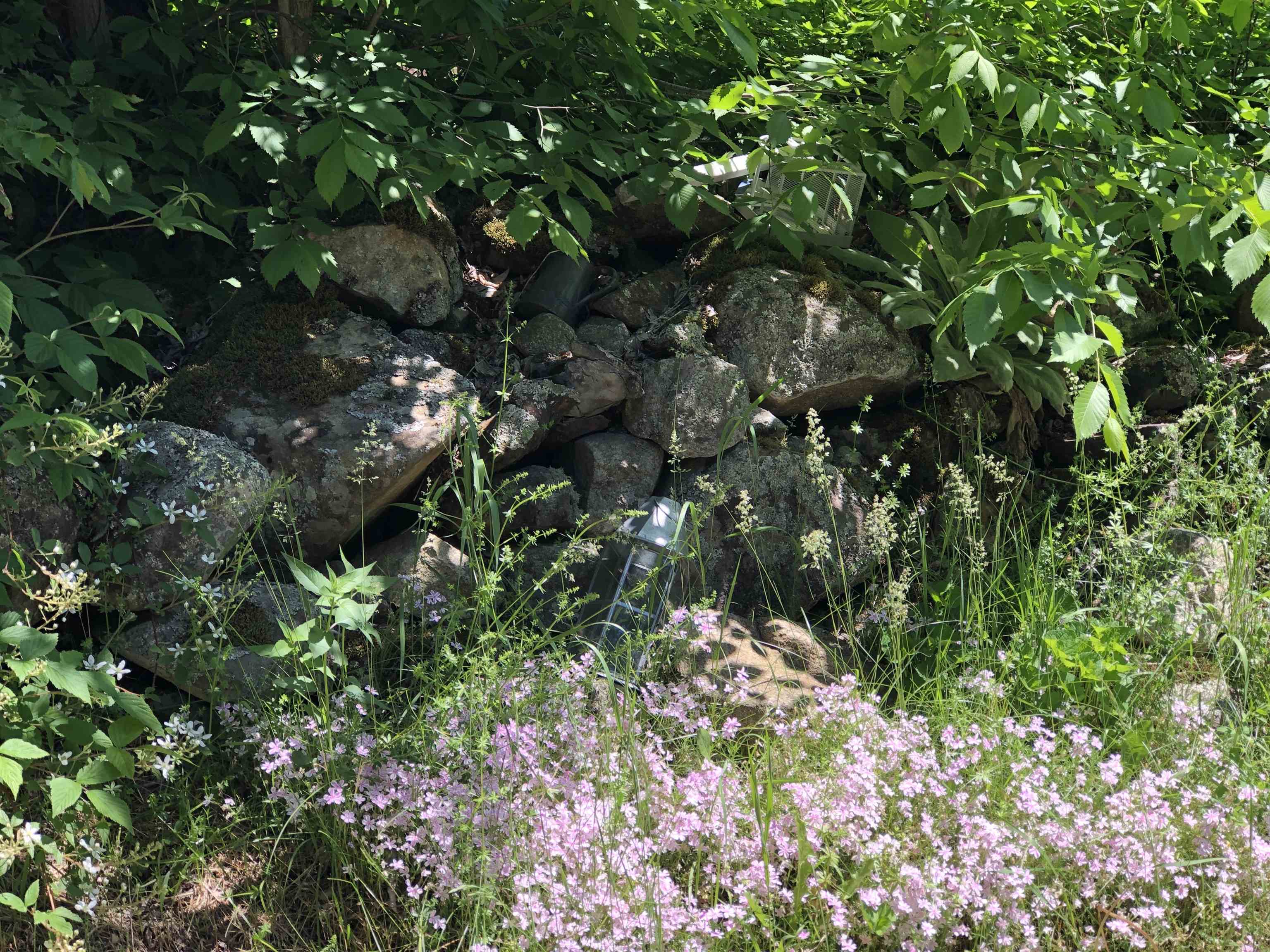 116 Shoreline Drive Barnet, VT 05821 - Photo 15 of 30