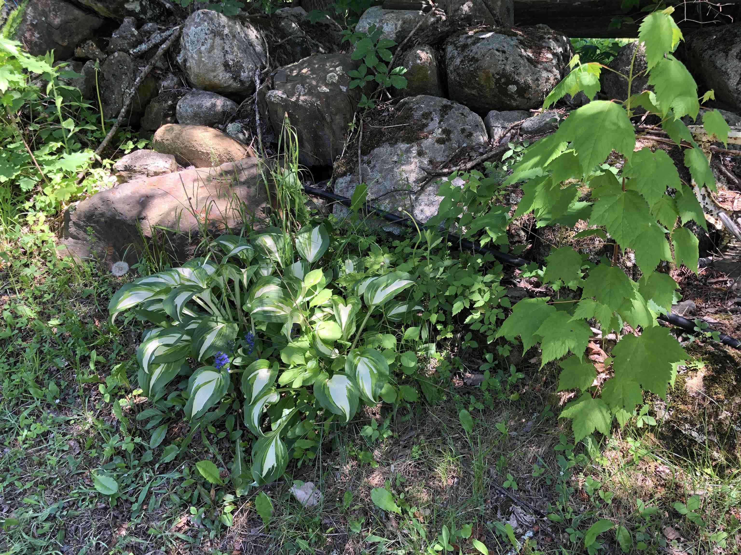 116 Shoreline Drive Barnet, VT 05821 - Photo 17 of 30