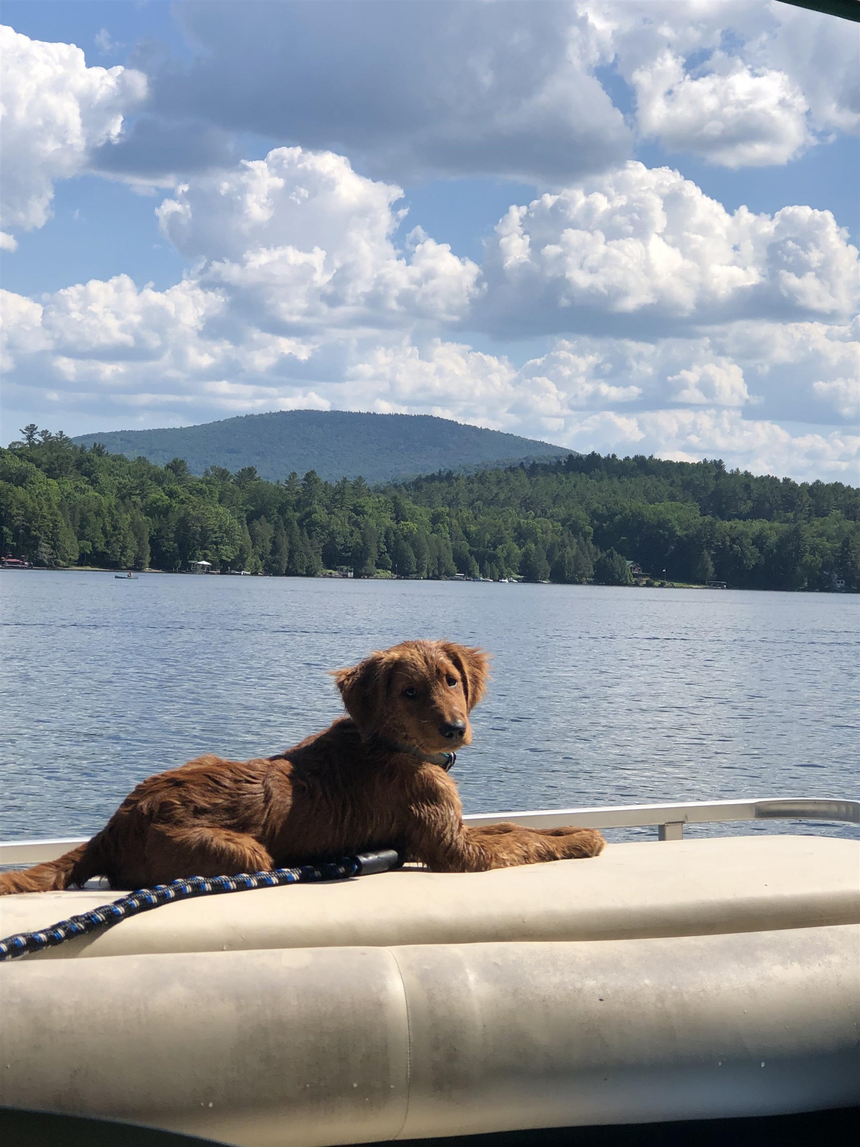 116 Shoreline Drive Barnet, VT 05821 - Photo 19 of 30