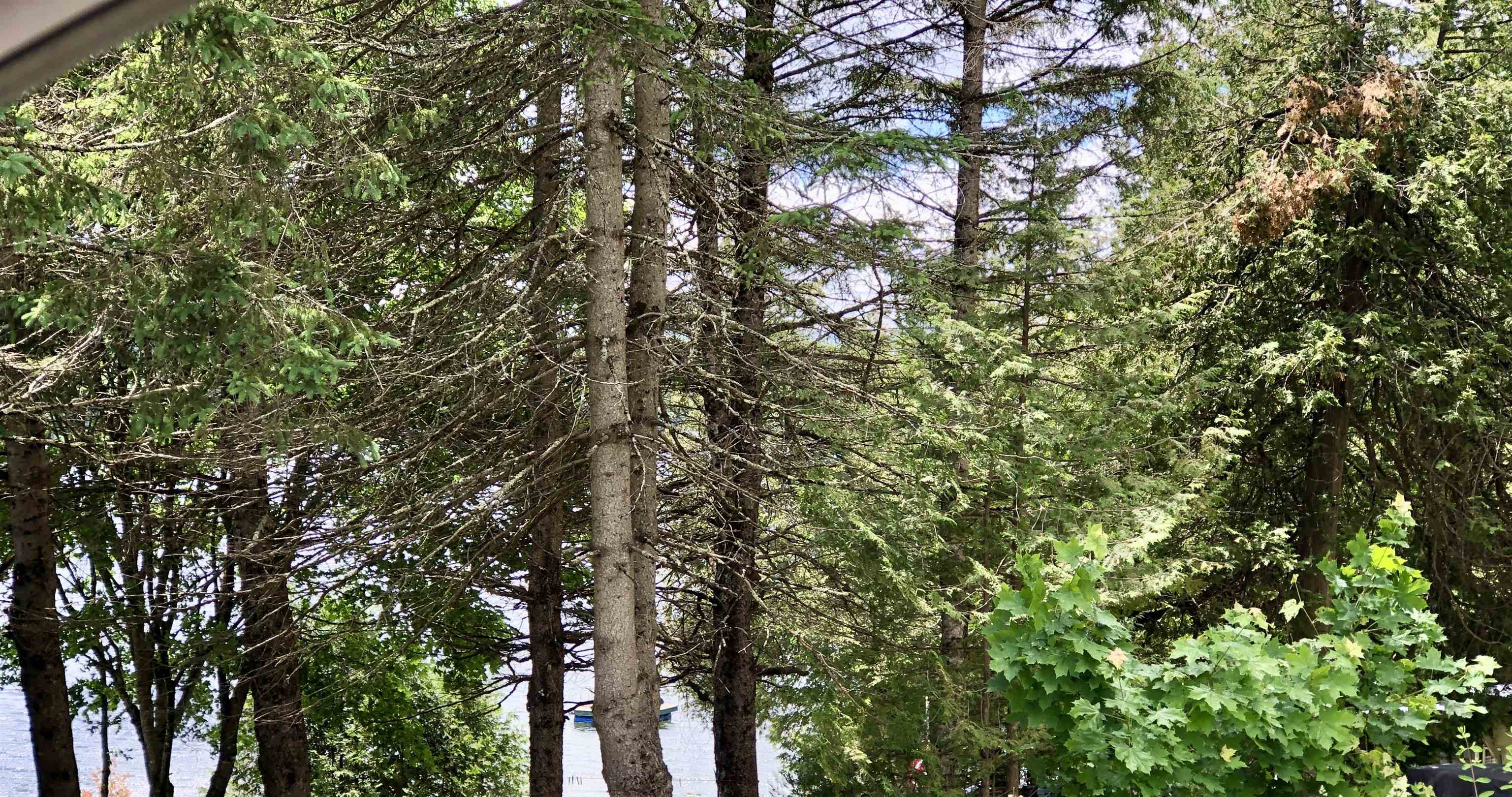 116 Shoreline Drive Barnet, VT 05821 - Photo 23 of 30