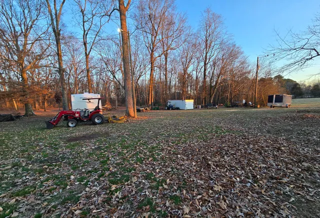 a view of a field with trees in the background