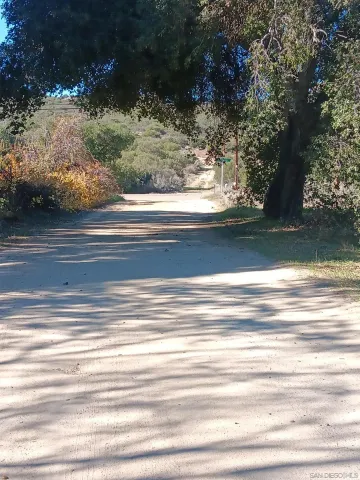 a view of a tree in a yard