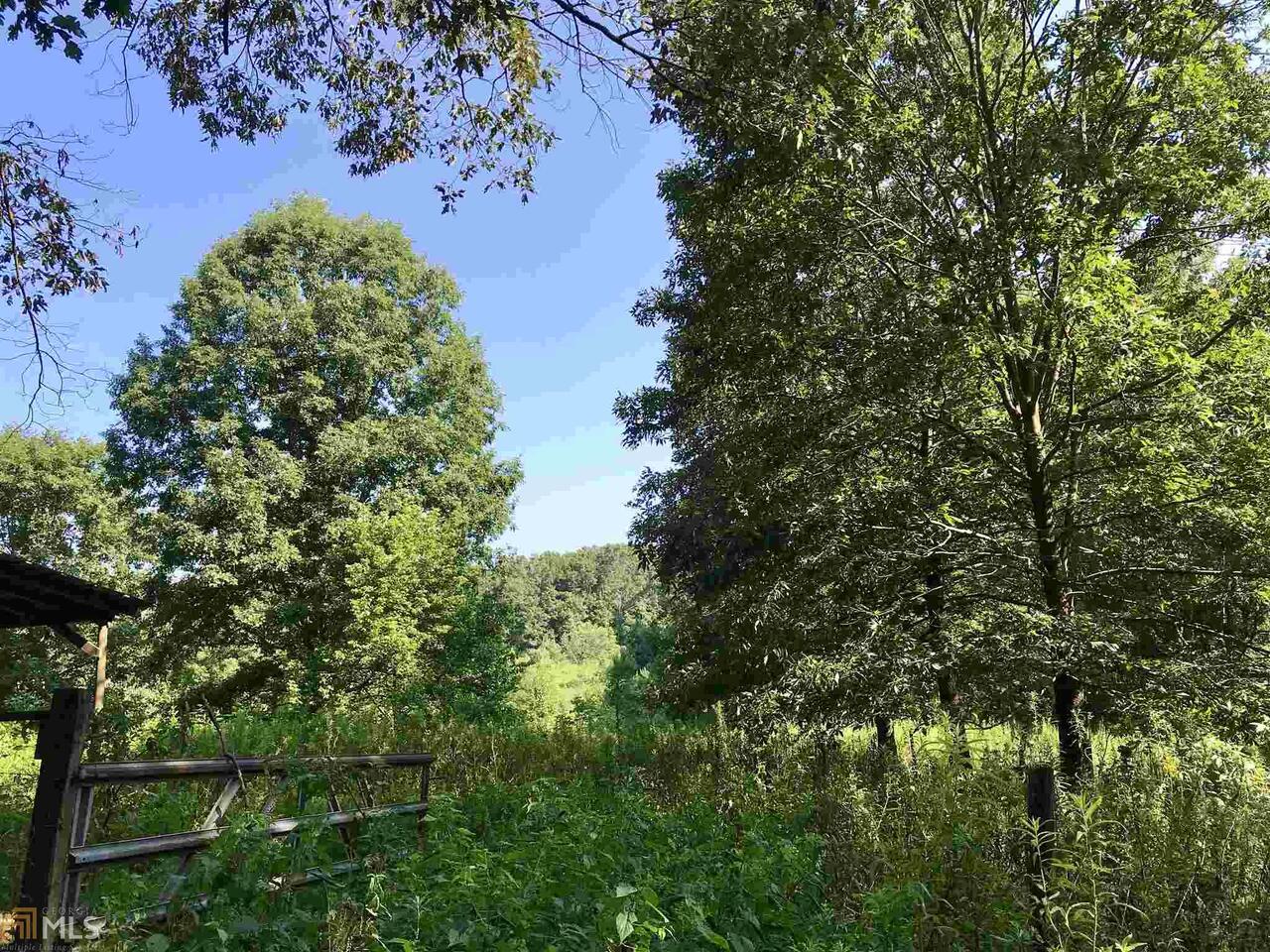 822 Luke Quarles Road Ellijay, GA 30540 - Photo 1 of 1 Gallery Image 1
