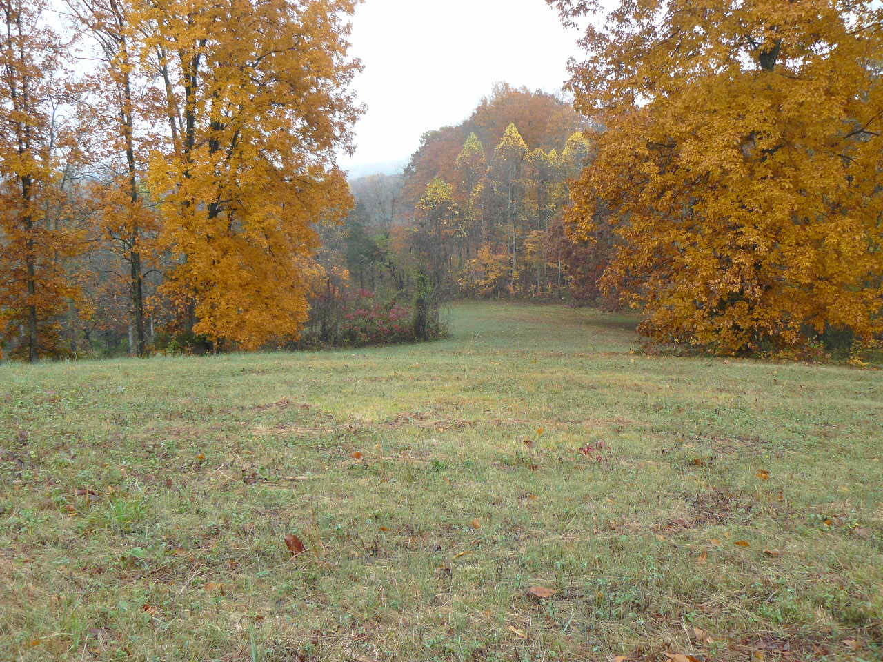 Burke Road Tazewell, TN 37879 - Photo 1 of 9 P1390026