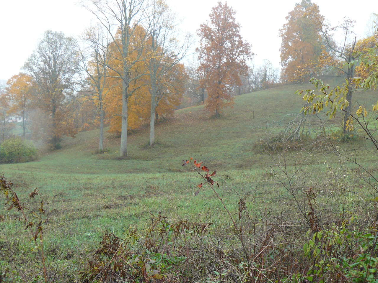 Burke Road Tazewell, TN 37879 - Photo 3 of 9 P1390038