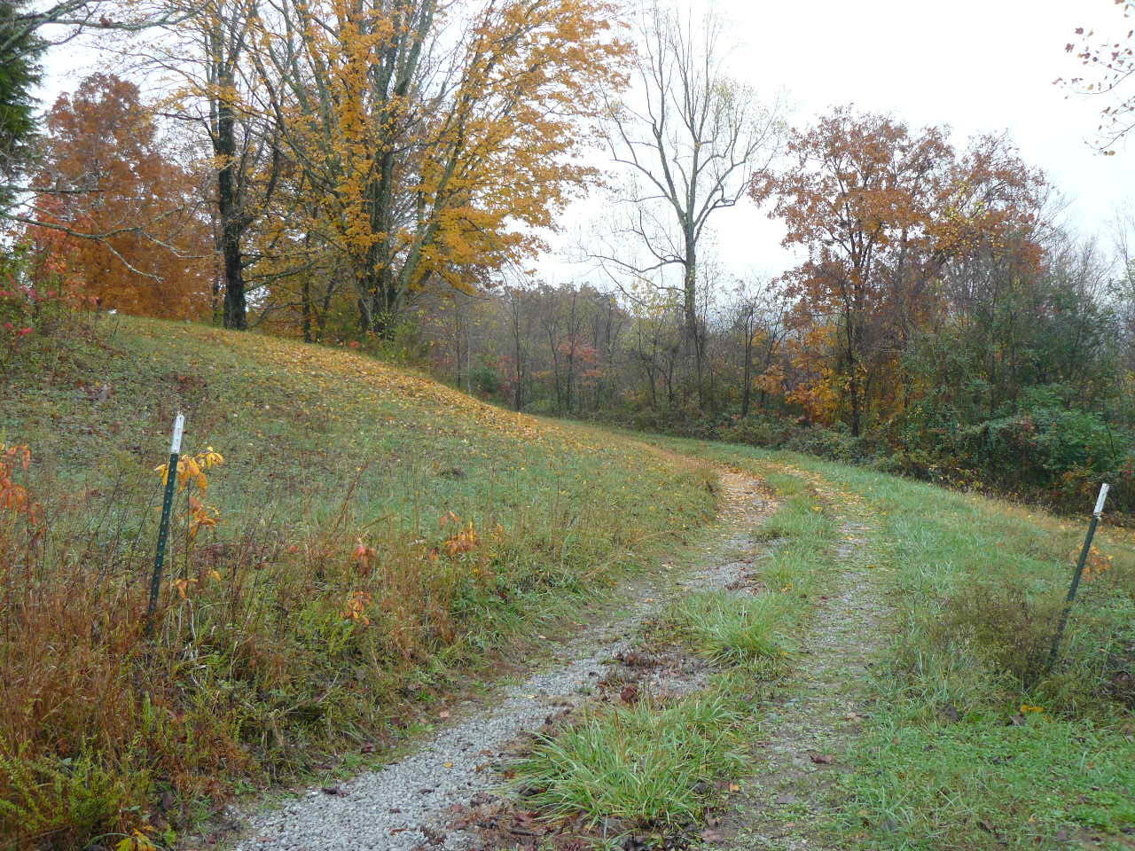 Burke Road Tazewell, TN 37879 - Photo 5 of 9 P1390025