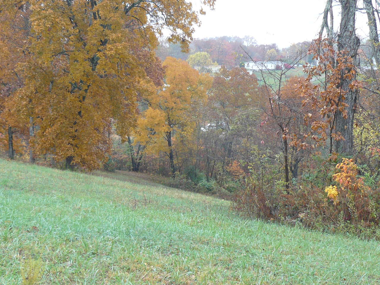 Burke Road Tazewell, TN 37879 - Photo 6 of 9 P1390030
