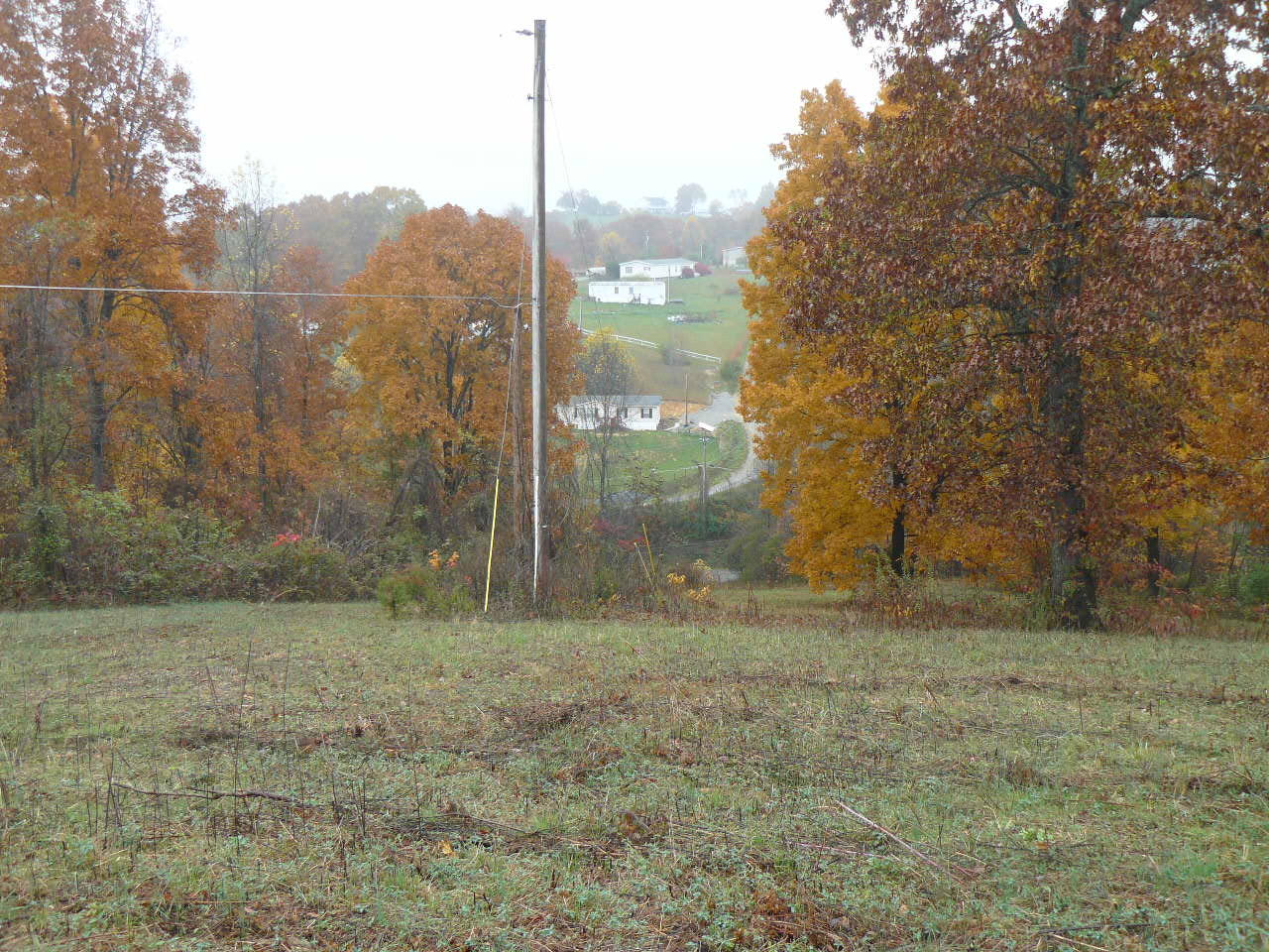 Burke Road Tazewell, TN 37879 - Photo 7 of 9 P1390033