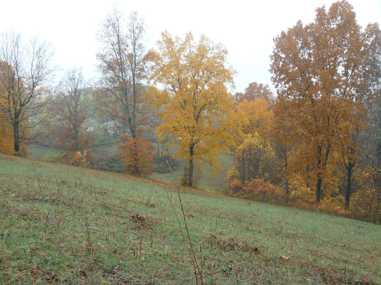Burke Road Tazewell, TN 37879 - Photo 8 of 9 P1390035