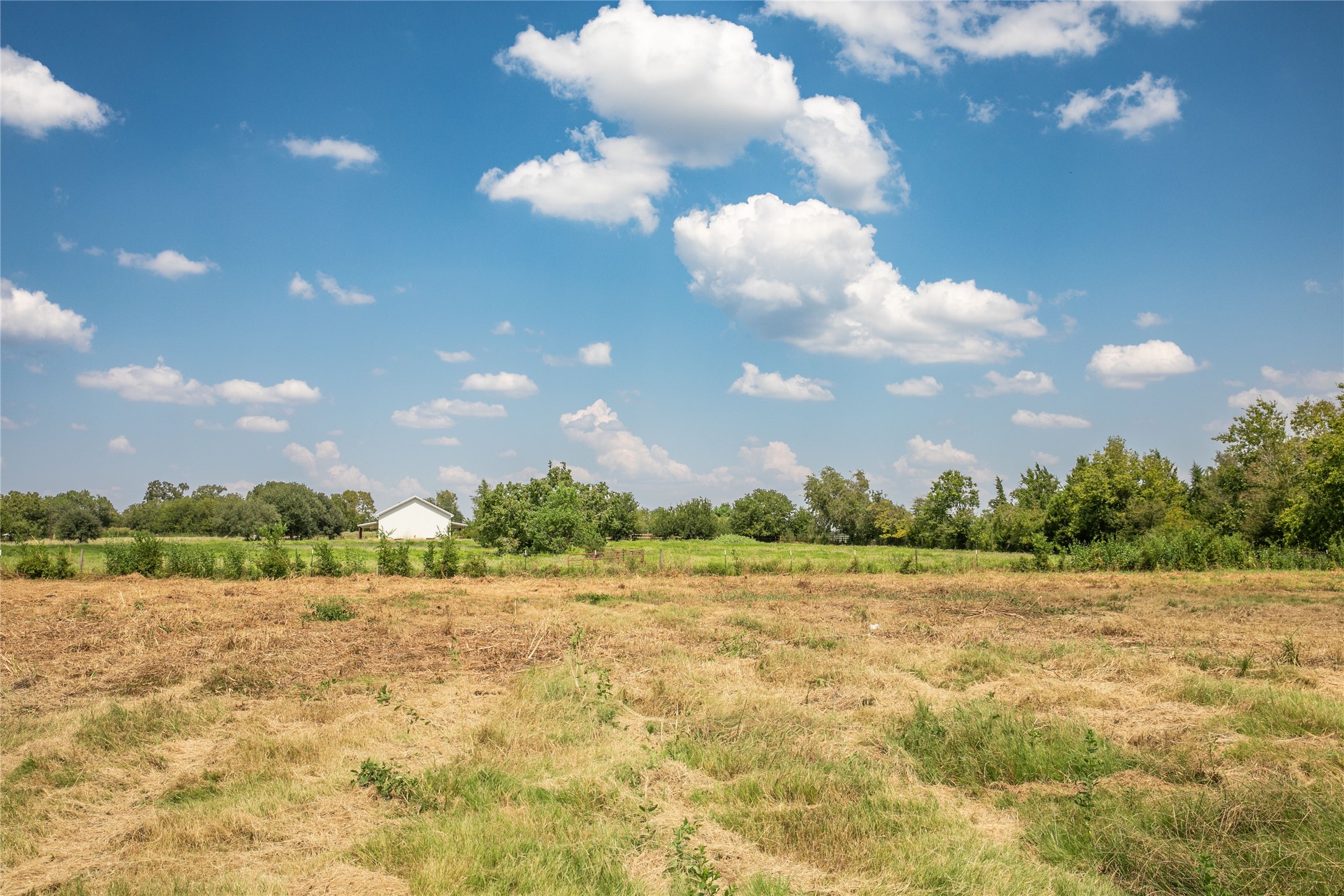 20 Red Tip Lane Brenham, TX 77833 - Photo 23 of 27 a view of a lake