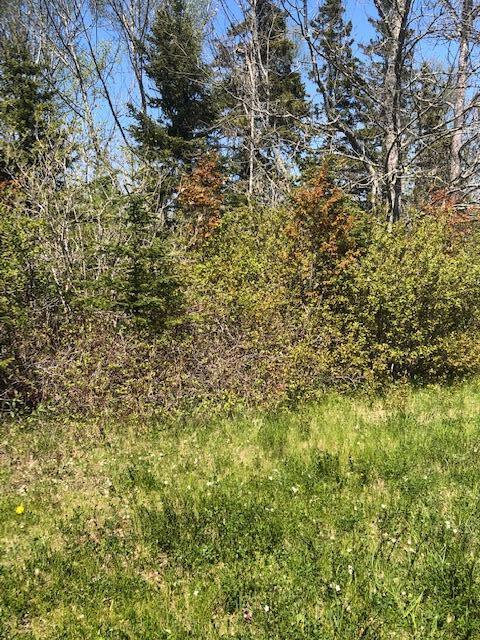 224 Gin Cove Road Perry, ME 04667 - Photo 9 of 15 IMG_8304