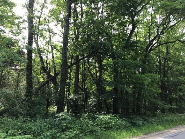 North Payne Lake Road Wayland, MI 49348 - Photo 1 of 4 Pic 1