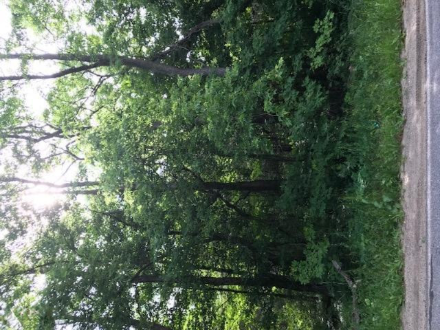North Payne Lake Road Wayland, MI 49348 - Photo 3 of 4 Pic 3