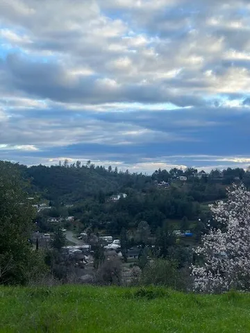 a view of a city with lush green forest