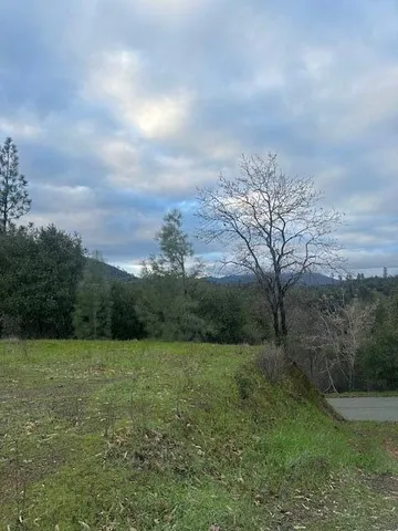 a view of a grassy field with trees in the background