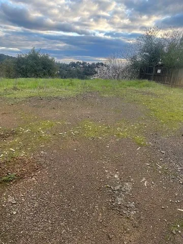 a view of a field with an trees