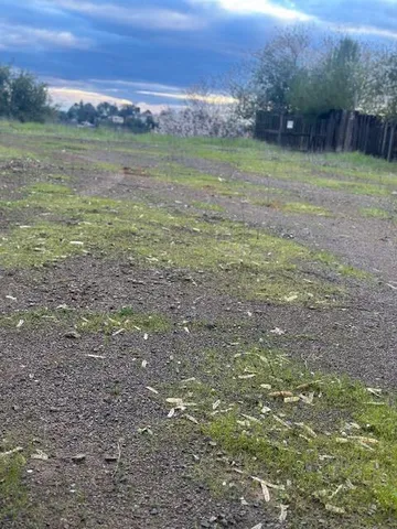 a view of a garden with an outdoor space