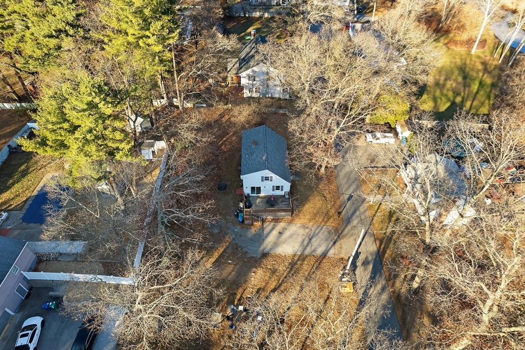 3 Riverside Road Billerica, MA 01821 - Photo 31 of 42 a picture of a tree