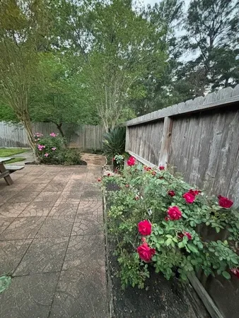 a view of a backyard with plants and a large tree