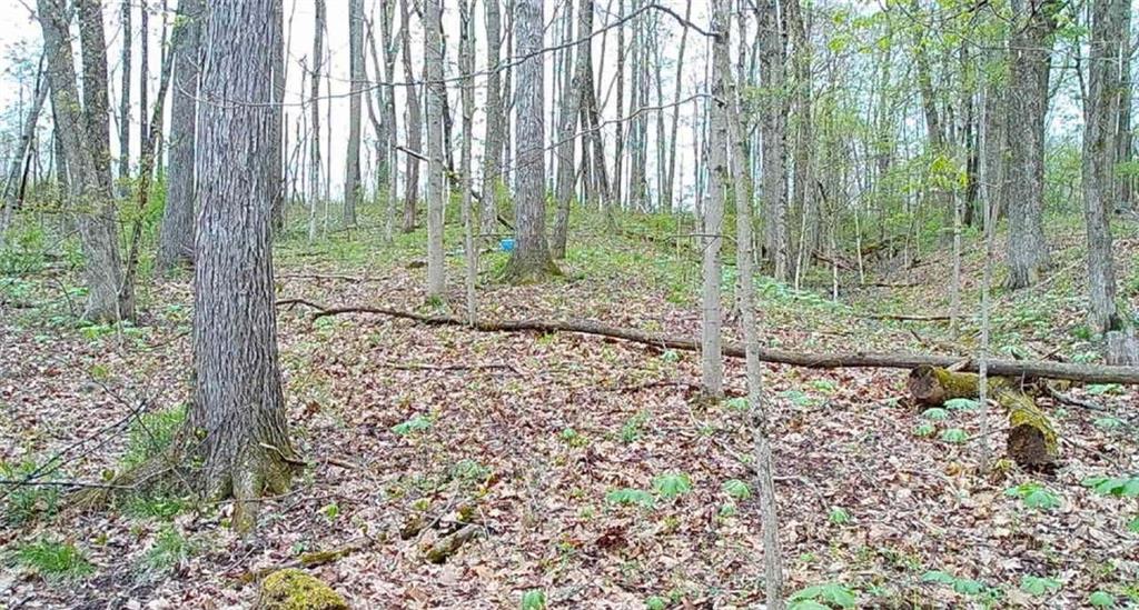 0 Campground Road West Middlesex, PA 16159 - Photo 7 of 12