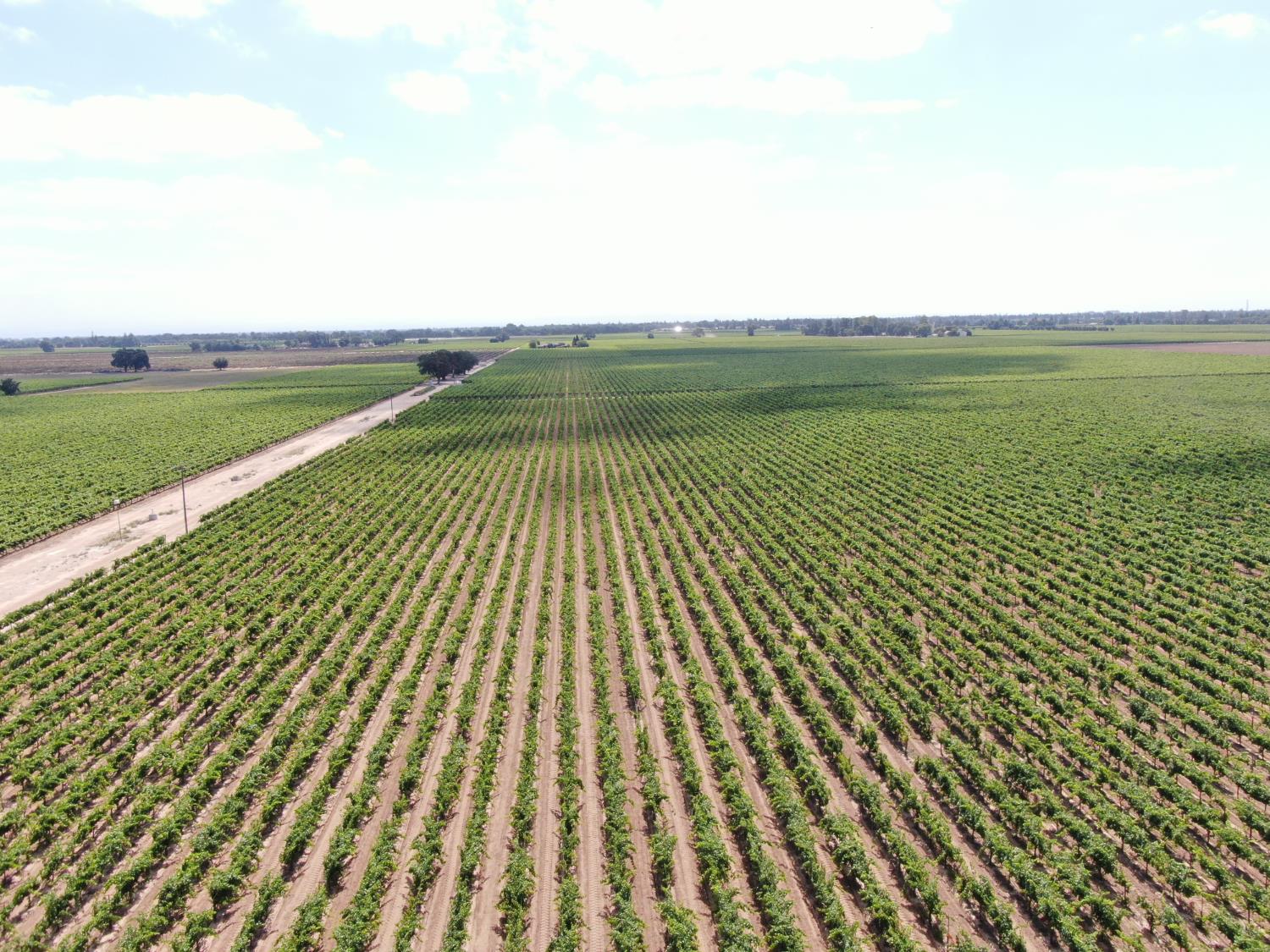 20271 Devries Road Lodi, CA 95242 - Photo 8 of 11