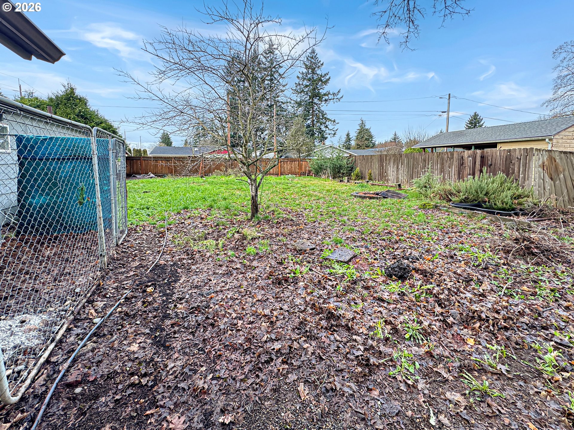 9310 Northeast Burton Road Vancouver, WA 98662 - Photo 19 of 24 a view of a backyard with plants and palm tree