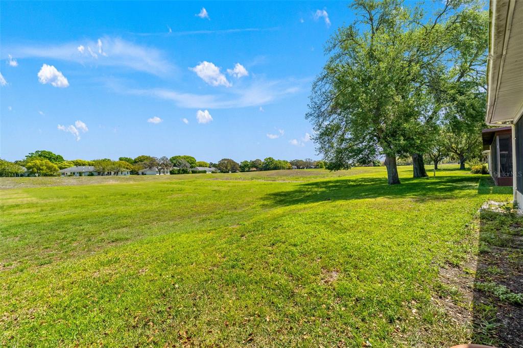 8345 Elgin Drive Port Richey, FL 34668 - Photo 15 of 30