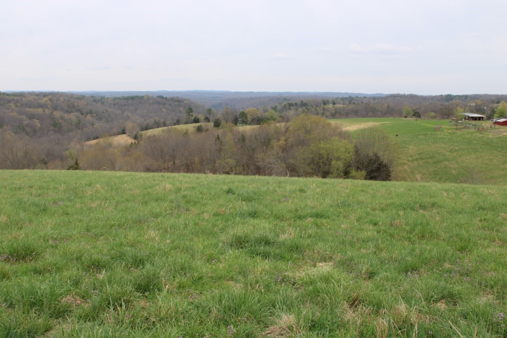 416 New Hope Road Marshall, AR 72650 - Photo 1 of 60 land - view