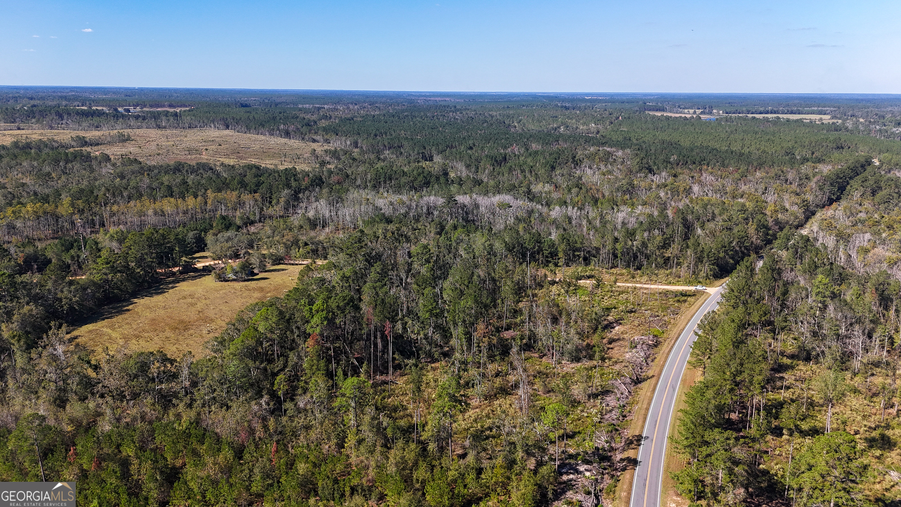 0 Stewart Cemetery Road Alma, GA 31510 - Photo 4 of 9 a view of a city with lush green forest