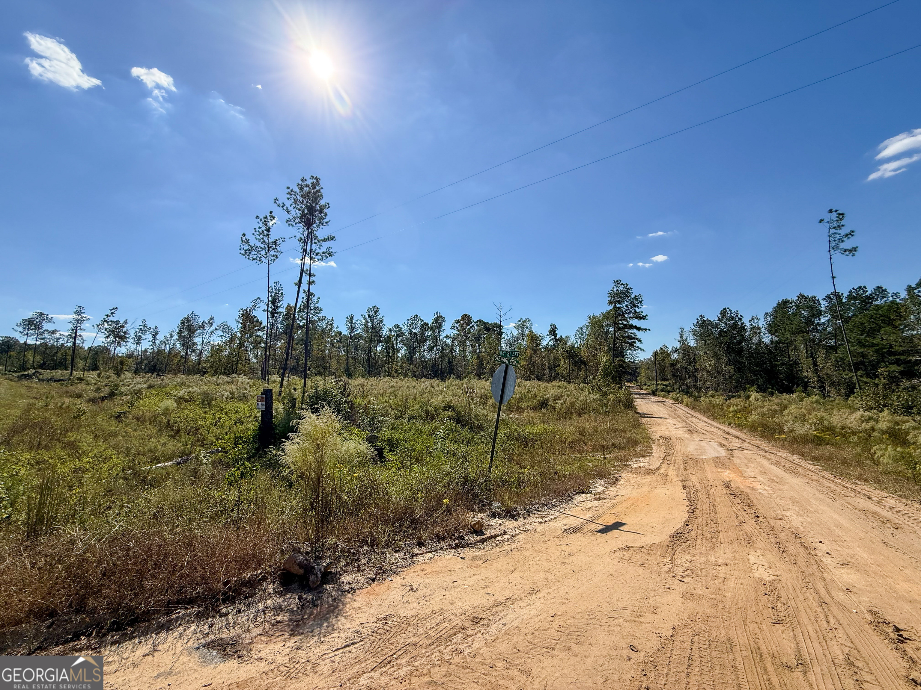0 Stewart Cemetery Road Alma, GA 31510 - Photo 8 of 9 a view of a yard with a tree