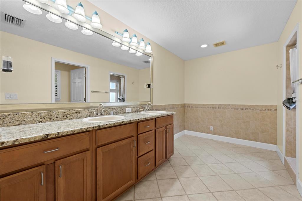 5446 Bluepoint Drive Port Richey, FL 34668 - Photo 58 of 68 a bathroom with a granite countertop sink a large mirror and a bathtub