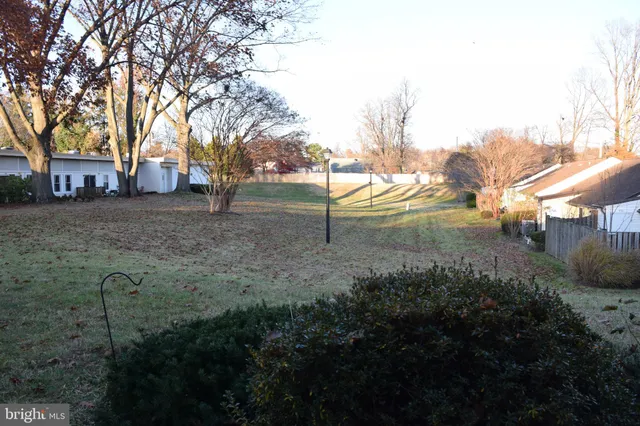 a view of a backyard with large trees
