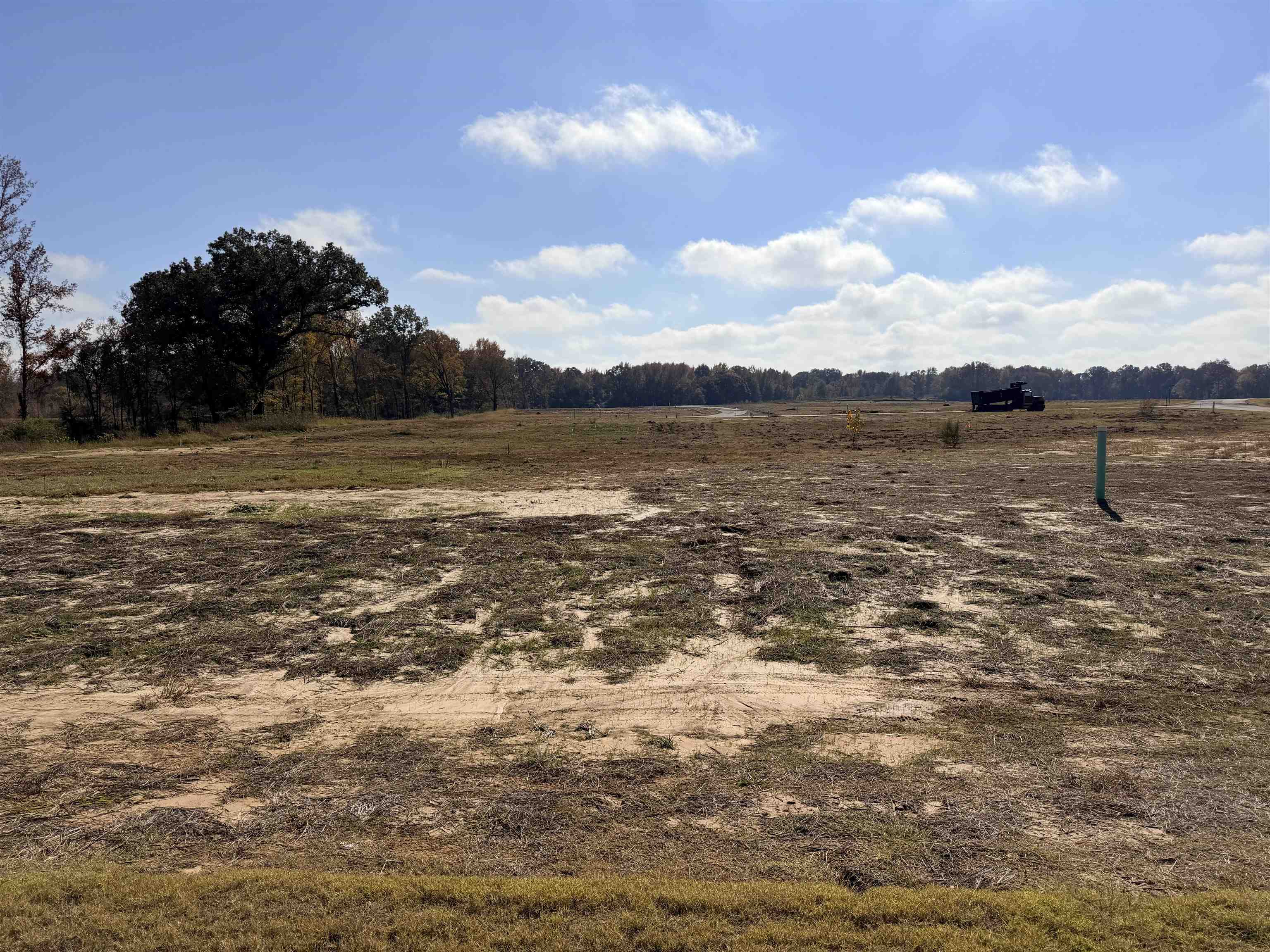 Lot 69 Jacobs Ridge Lane Collierville, TN 38017 - Photo 5 of 8 a view of a lake with a lake