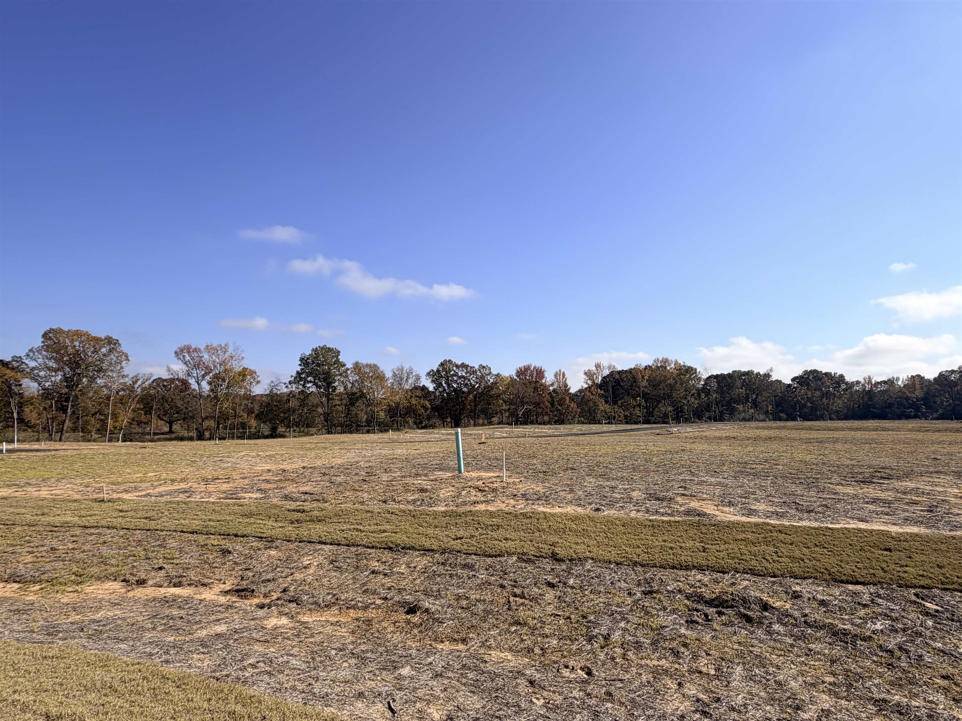 Lot 69 Jacobs Ridge Lane Collierville, TN 38017 - Photo 6 of 8 a view of an lake and a mountain