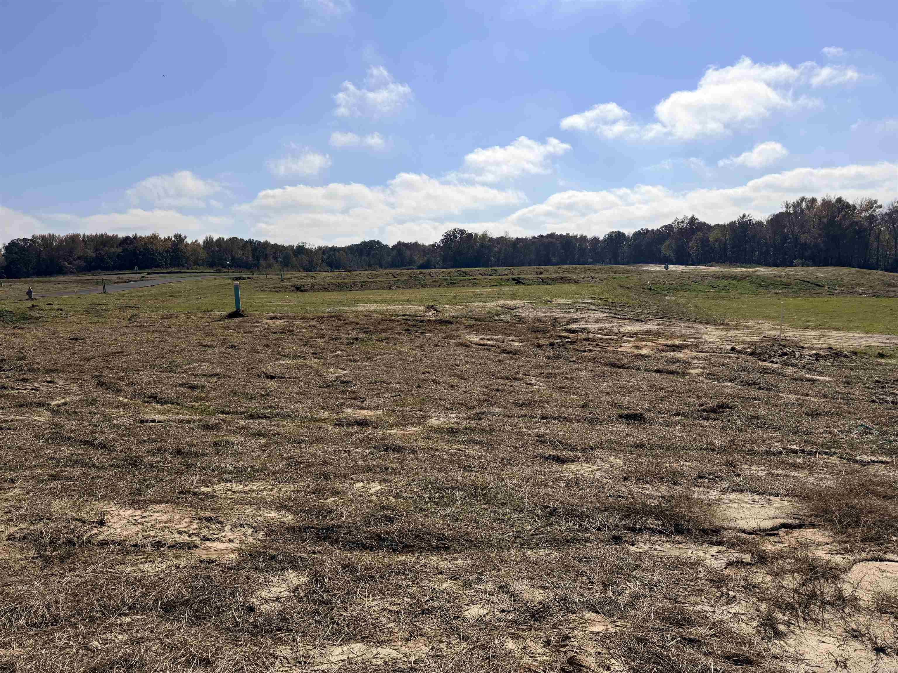 Lot 69 Jacobs Ridge Lane Collierville, TN 38017 - Photo 7 of 8