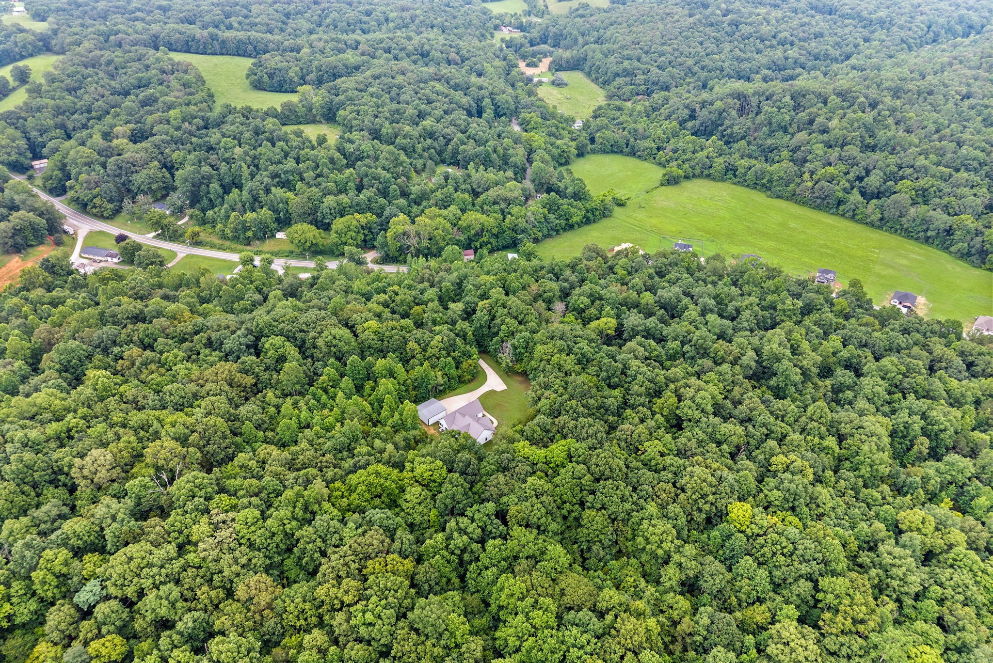 1895 Highway 13 Cunningham, TN 37052 - Photo 30 of 33 a close up of a plant in a garden
