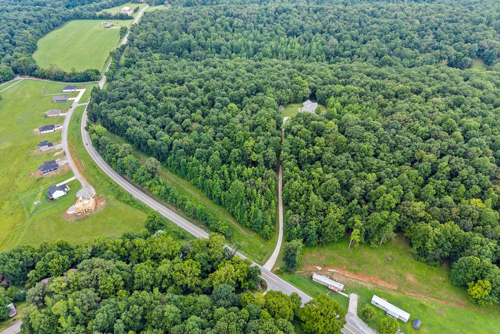 1895 Highway 13 Cunningham, TN 37052 - Photo 31 of 33 a view of a yard with plants