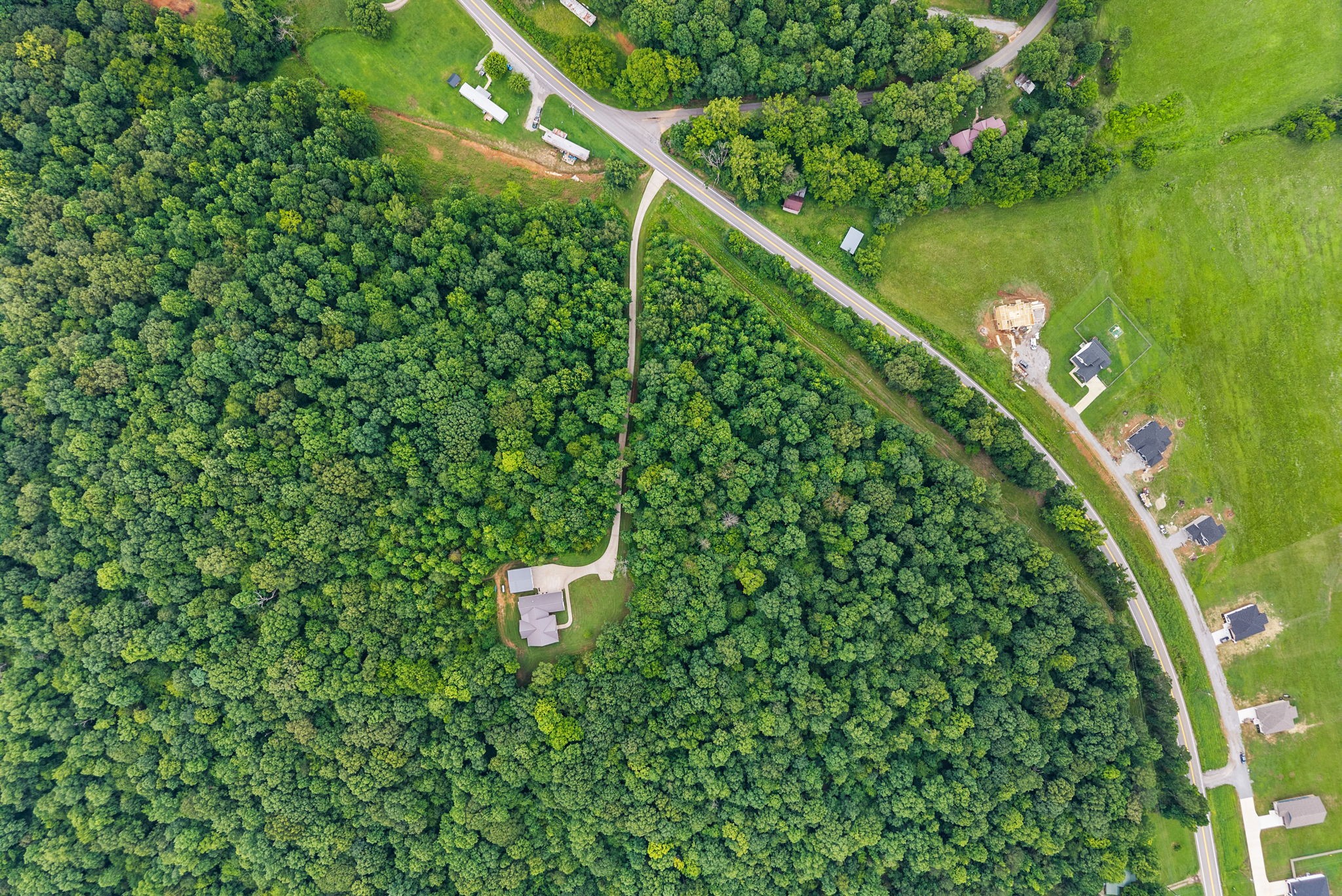 1895 Highway 13 Cunningham, TN 37052 - Photo 32 of 33 a view of a yard with a tree