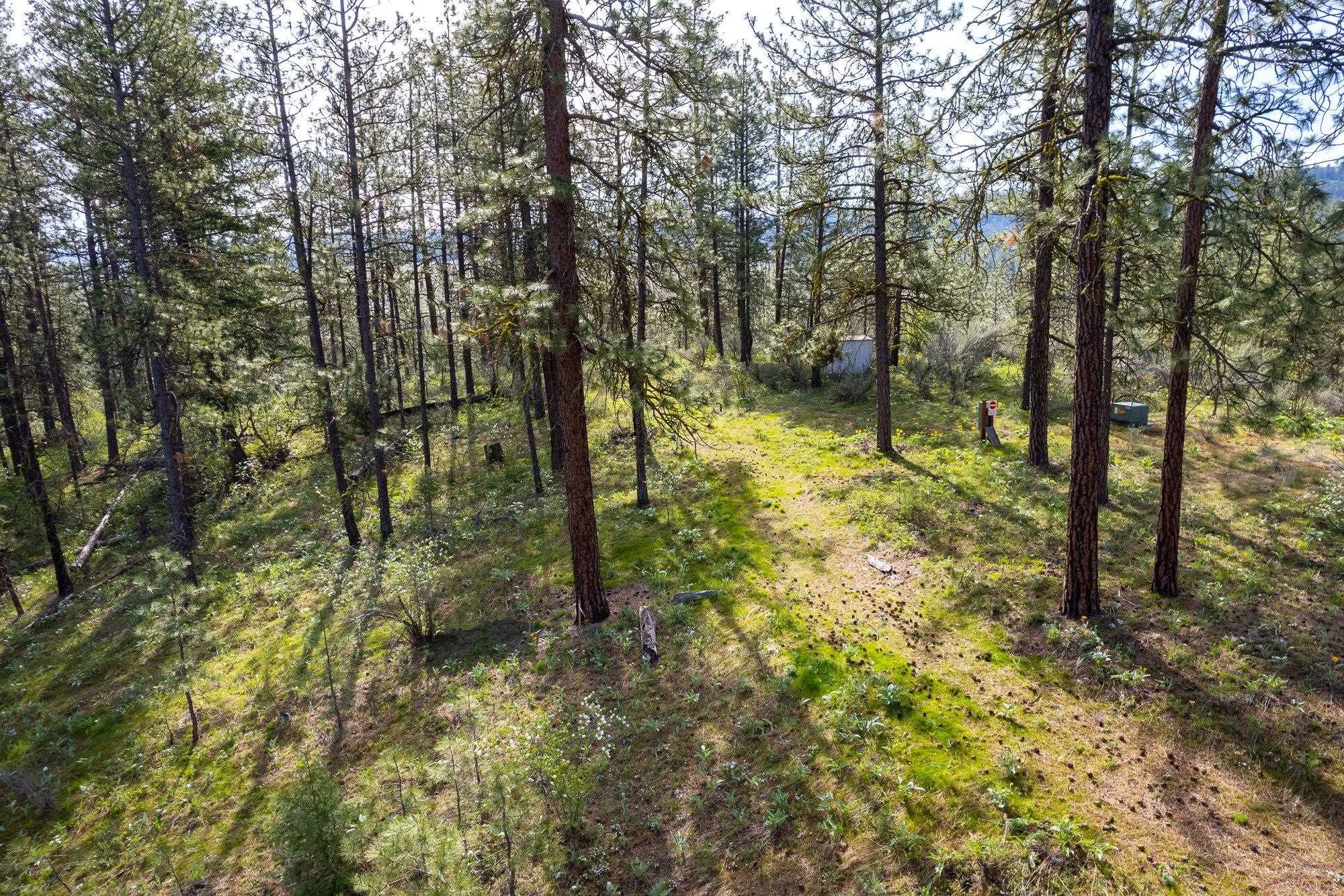 28-xxx West Long Lake Road Ford, WA 99013 - Photo 25 of 35 Gallery Image 25