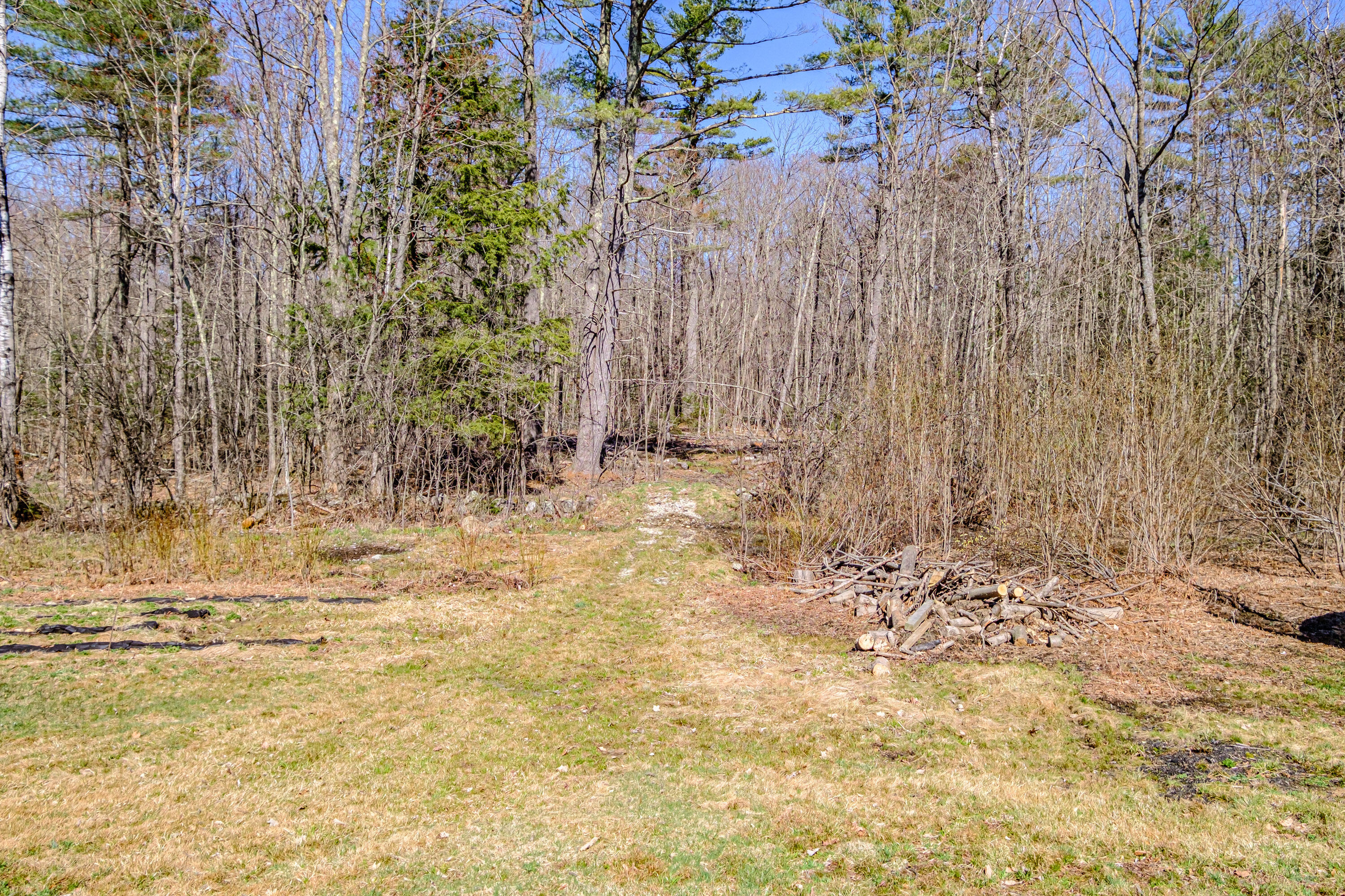 1029 Woodman Hill Road Minot, ME 04258 - Photo 51 of 61 Backyard