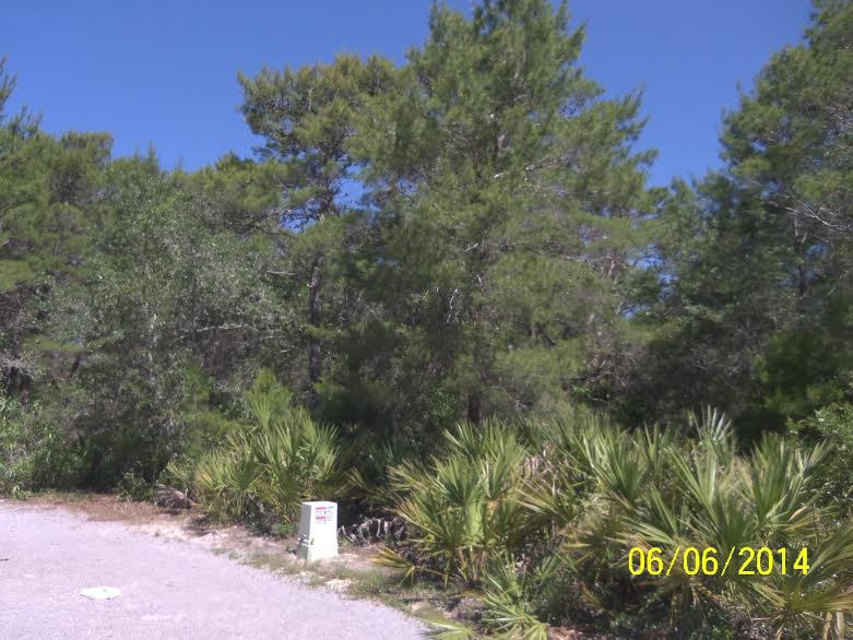 2 Williams Street Santa Rosa Beach, FL 32459 - Photo 1 of 1 Front
