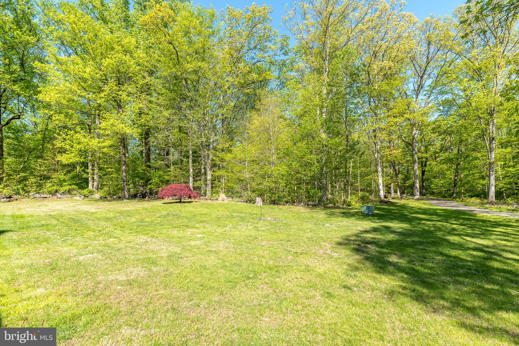 1502 Mission Road Quakertown, PA 18951 - Photo 42 of 52 Scenic backyard