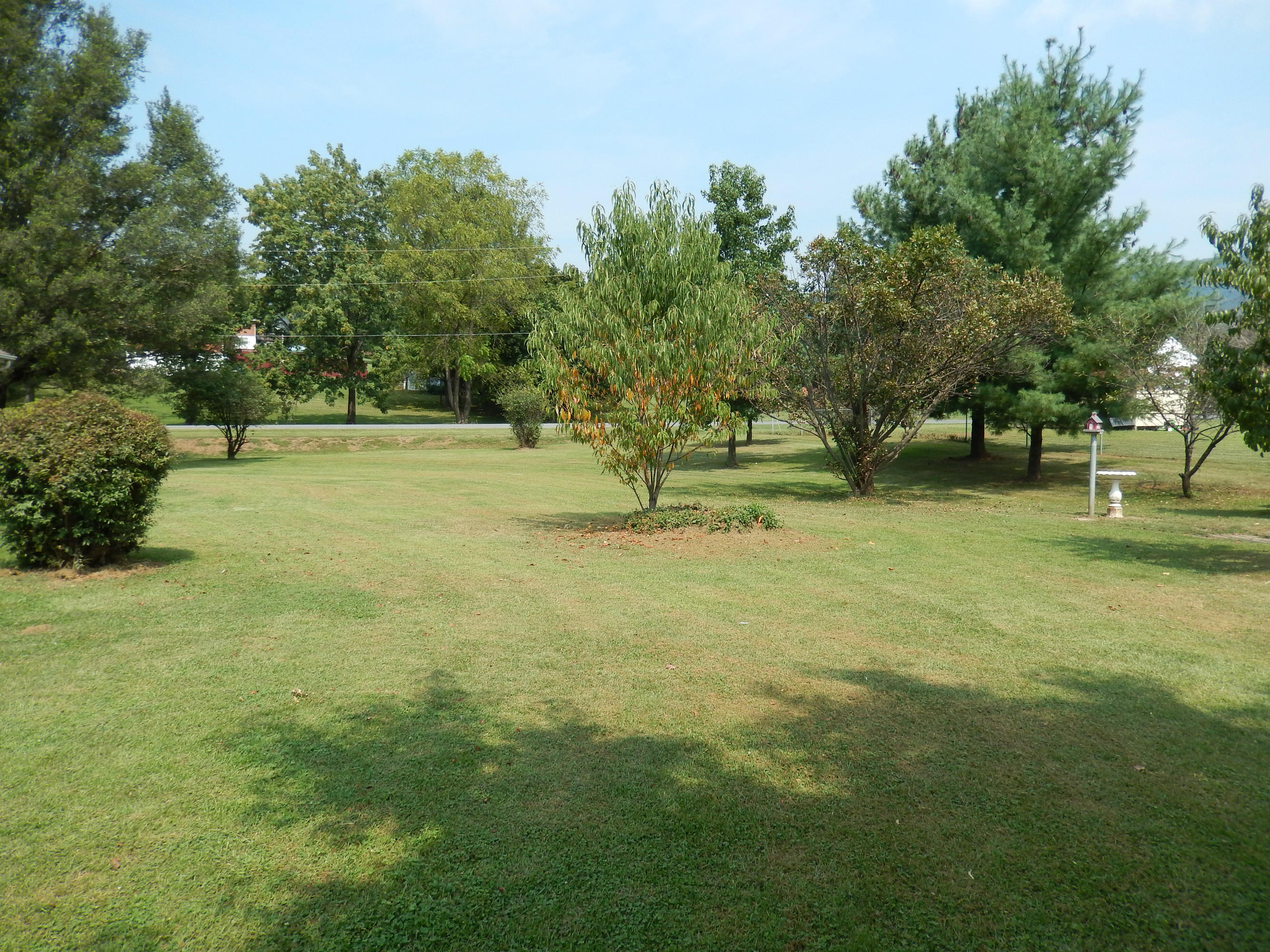122 Blue Ridge Drive Blue Ridge, VA 24064 - Photo 22 of 24 Back yard