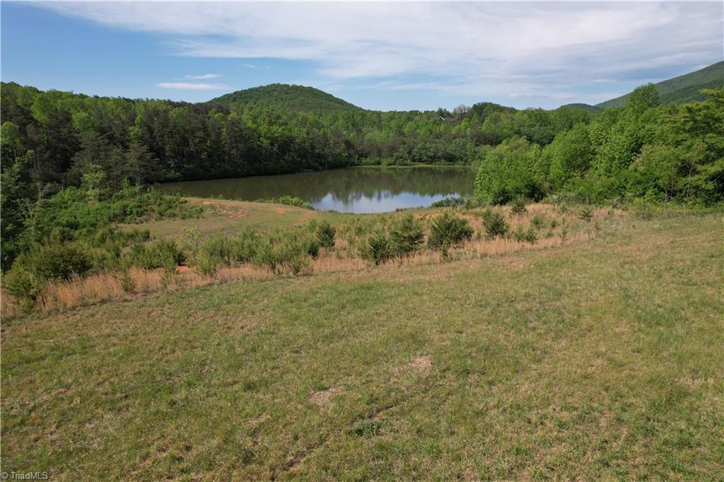 1155 Holly Grove Road Lambsburg, VA 24351 - Photo 1 of 12
