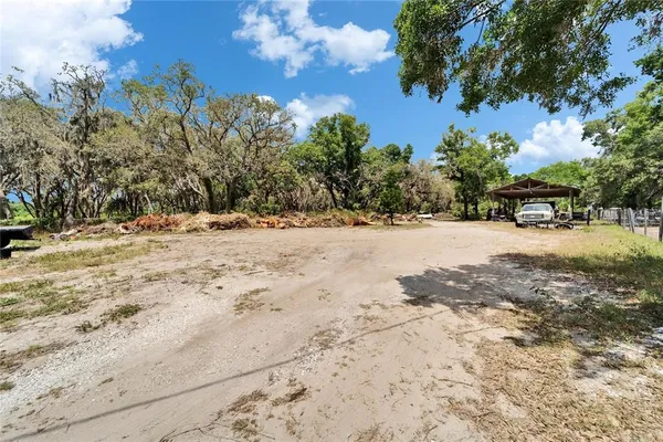 a view of dirt yard with a large tree