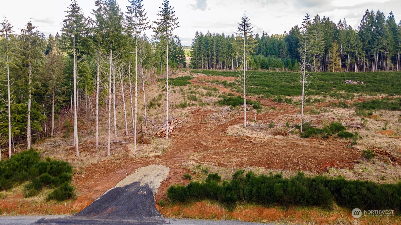 132 Nando Lane Winlock, WA 98596 - Photo 7 of 16