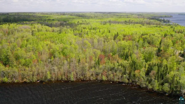 $524,500 | Parcel B South Niles Bay Forest Road, Orr, MN 55771