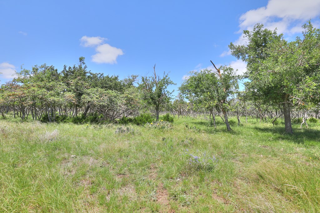 2600 Reservation Road Harper, TX 78631 - Photo 15 of 16